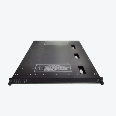 Original Packaging Triconex DCS System 9789-610 Analog Input Panel